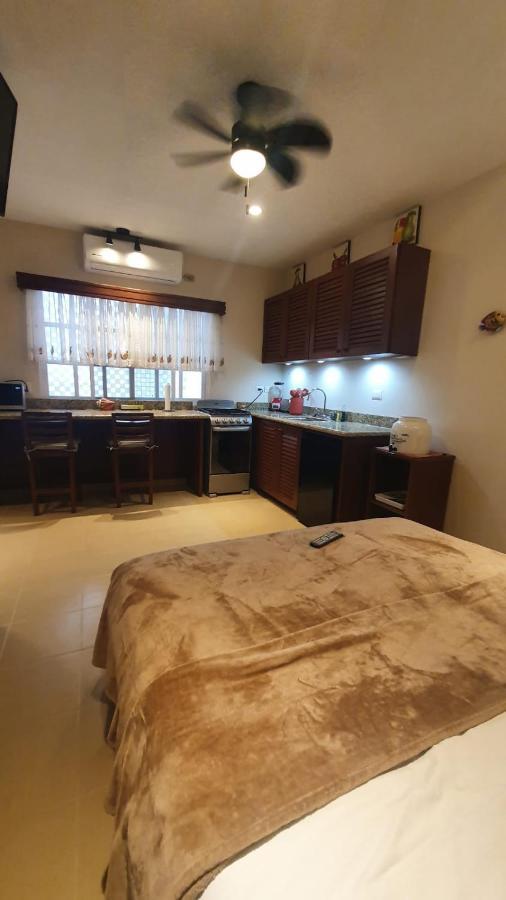 Coralito Malecon Luxury Studio Isla Mujeres Zewnętrze zdjęcie